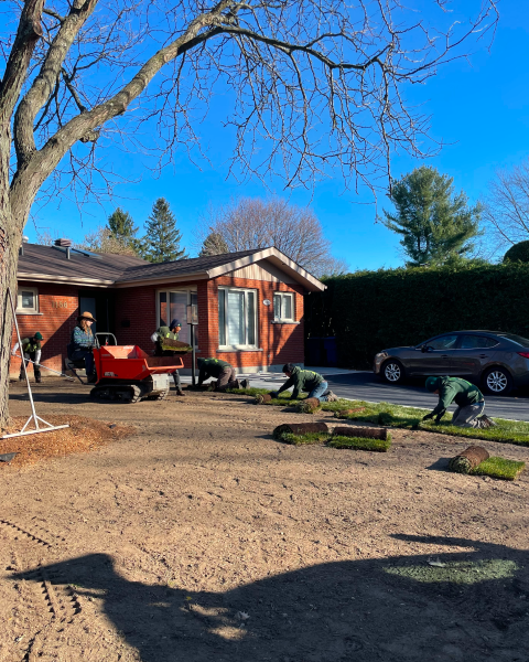 entretien gazon commercial pour Saint-Julie